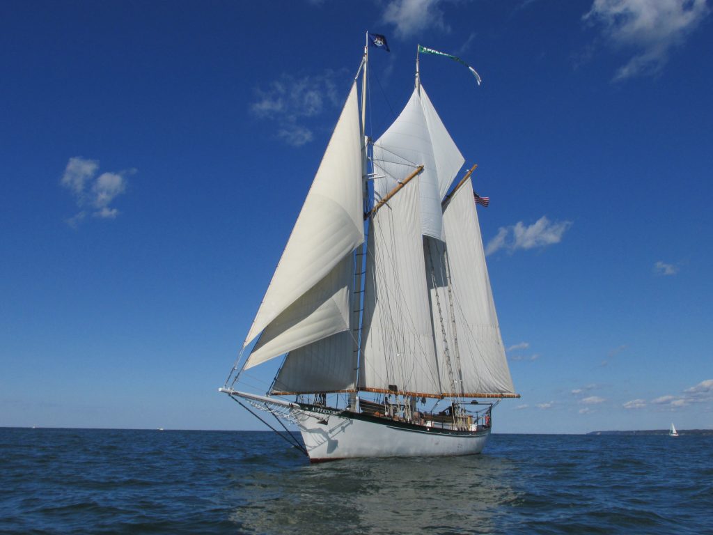 Tall Ships Celebration Vendors | Ontario's Blue Coast