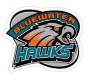 Bluewater Hawks Girls Hockey Association | Ontario's Blue Coast