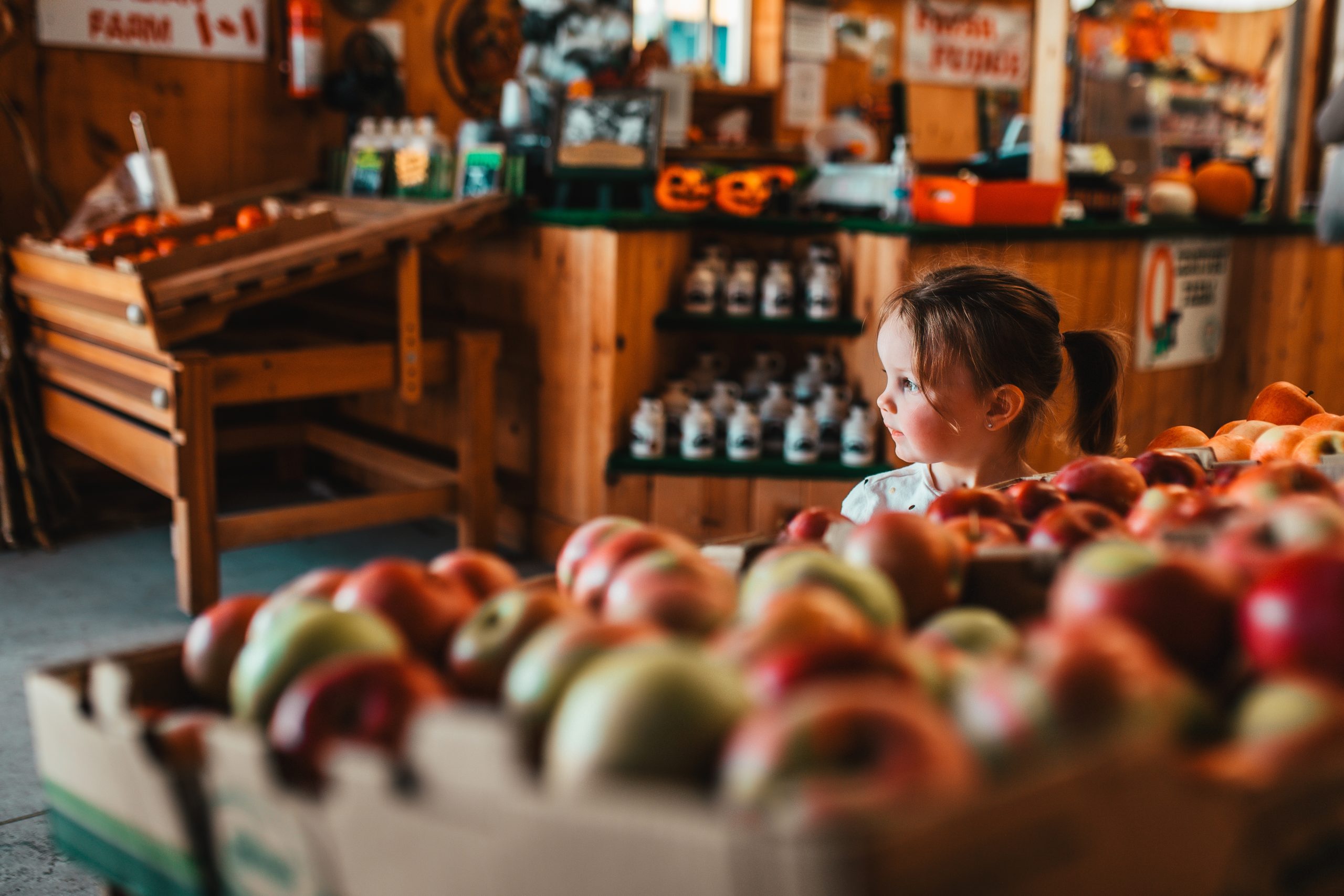 Market Fresh In Sarnia Lambton Ontario S Blue Coast   Dudek Photography 132 Scaled 